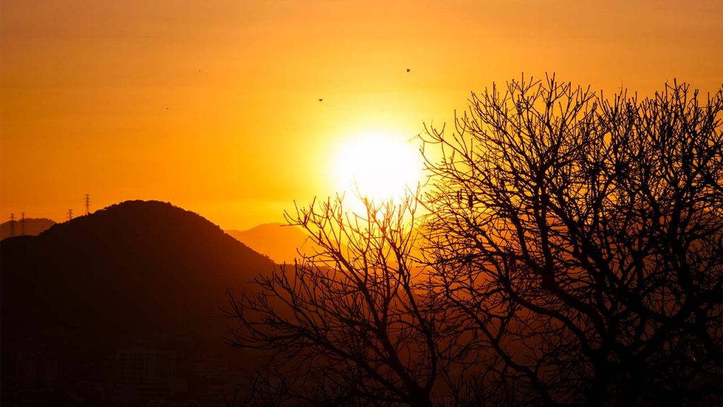 Pôr do sol, pássaros voando ao entardecer.