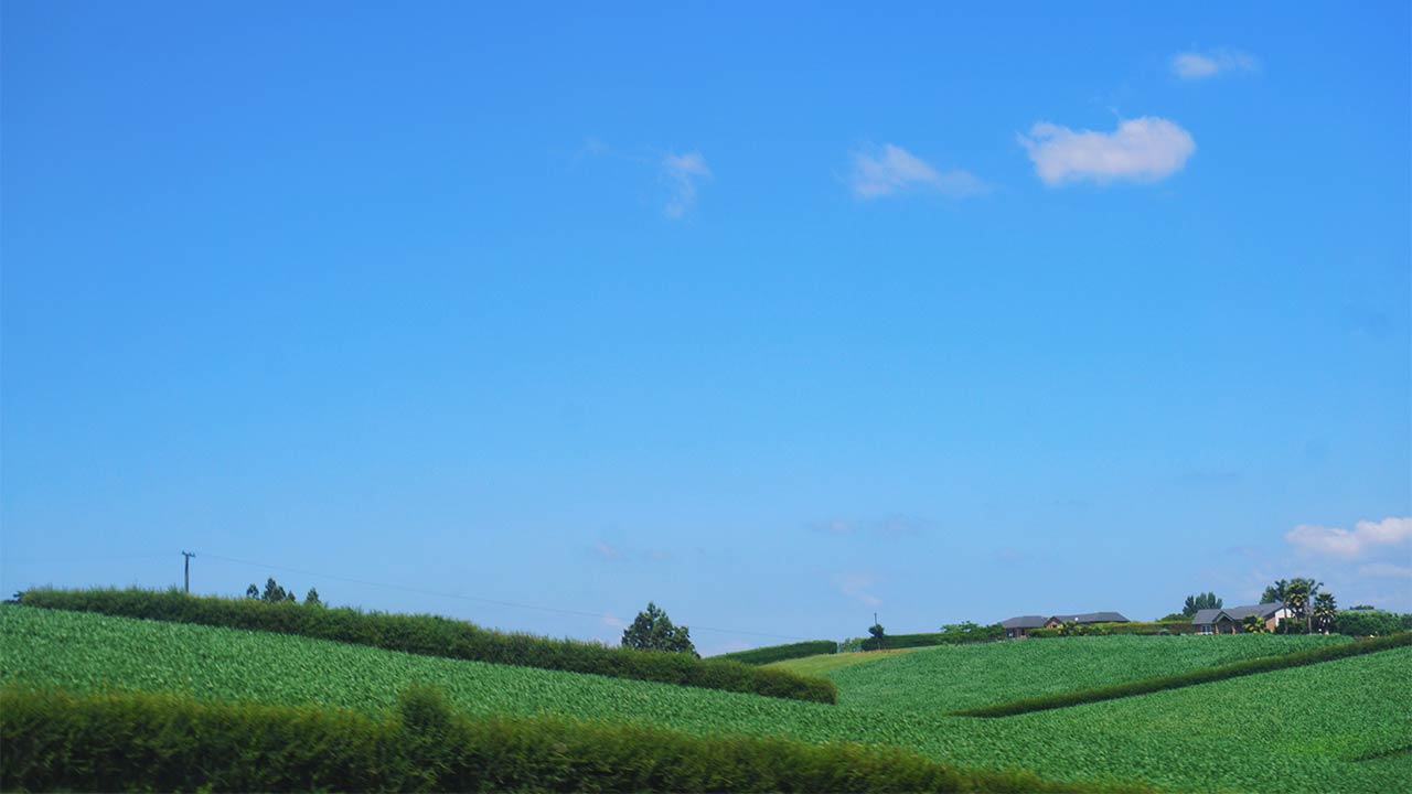Céu azul e campos verdes.