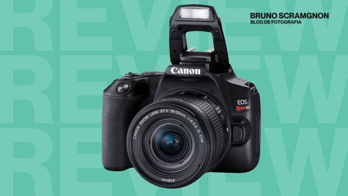 Melhores Câmeras Profissionais para Fotógrafos Iniciantes: 17 Top ...