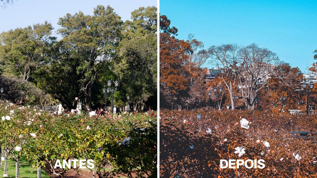 Antes e Depois de Aplicação de Presets