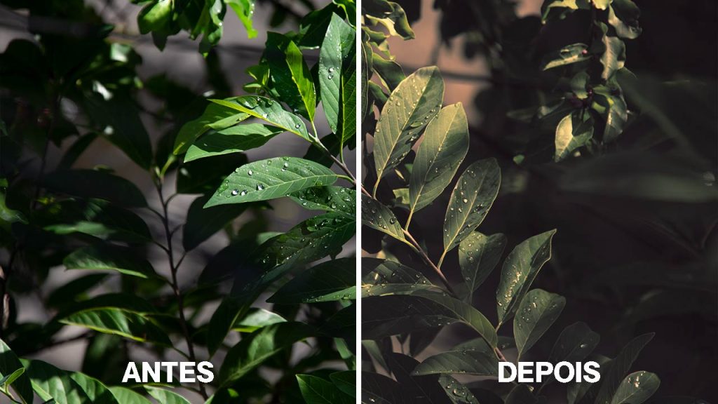 Antes e depois de aplicação do LUT no Photoshop