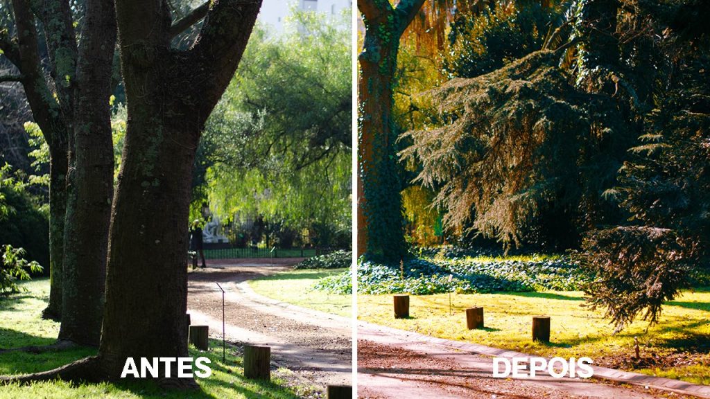 Antes e depois de aplicação do LUT no Photoshop