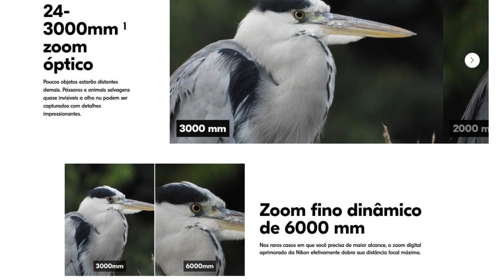 Exemplo de Fotos da Câmera Nikon Coolpix P1100