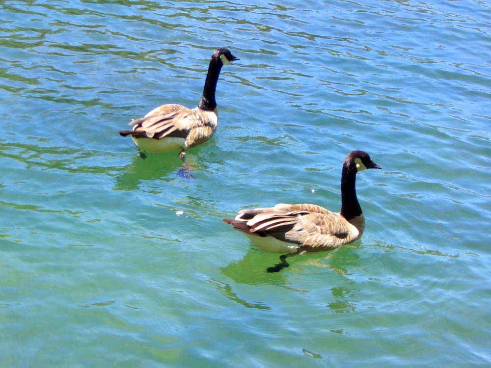 Fotos de Exemplo da câmera Kodak PixPro FZ45.