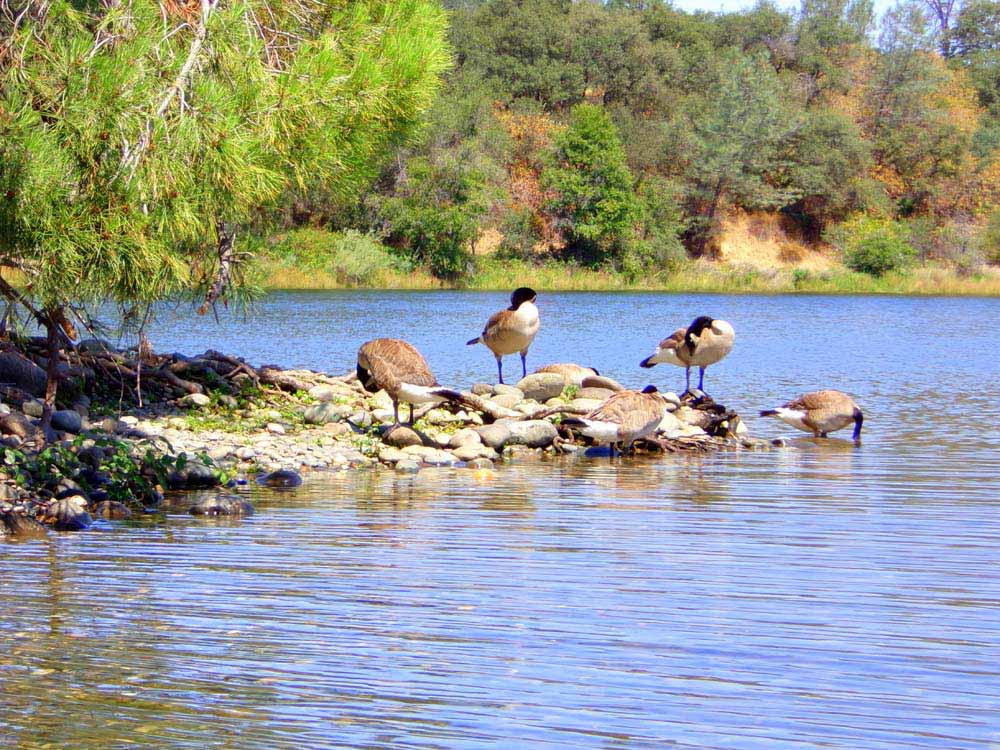 Fotos de Exemplo da câmera Kodak PixPro FZ45.