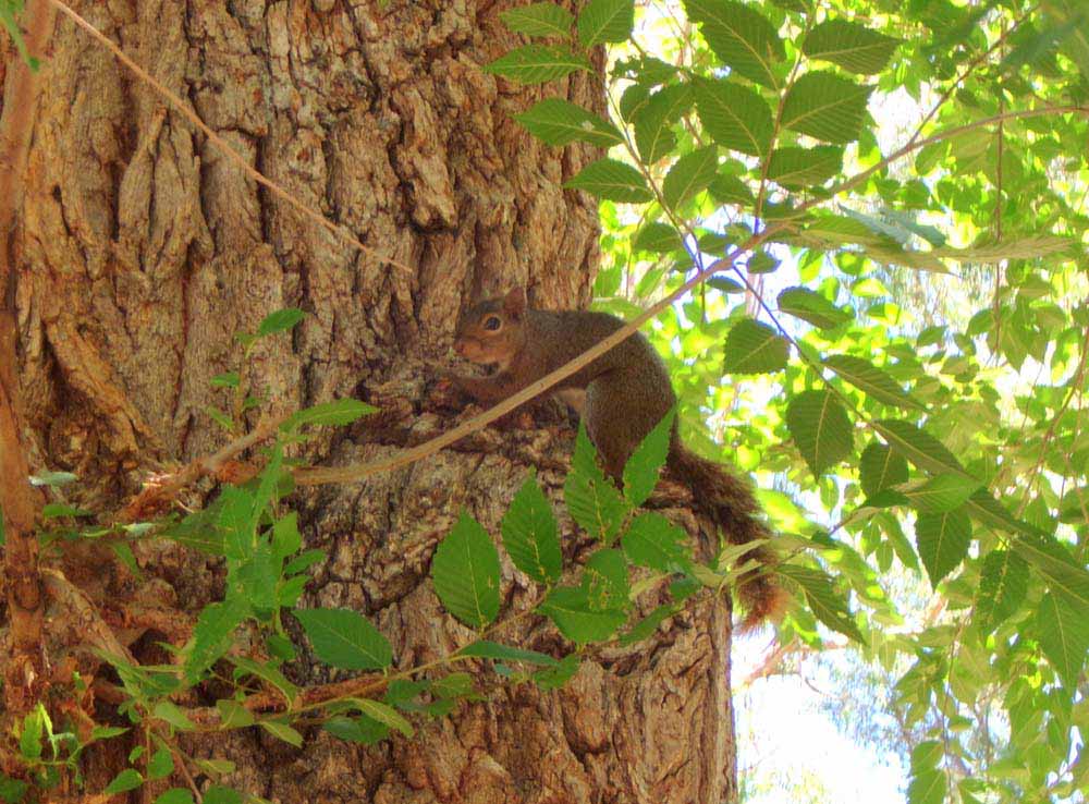 Fotos de Exemplo da câmera Kodak PixPro FZ45.