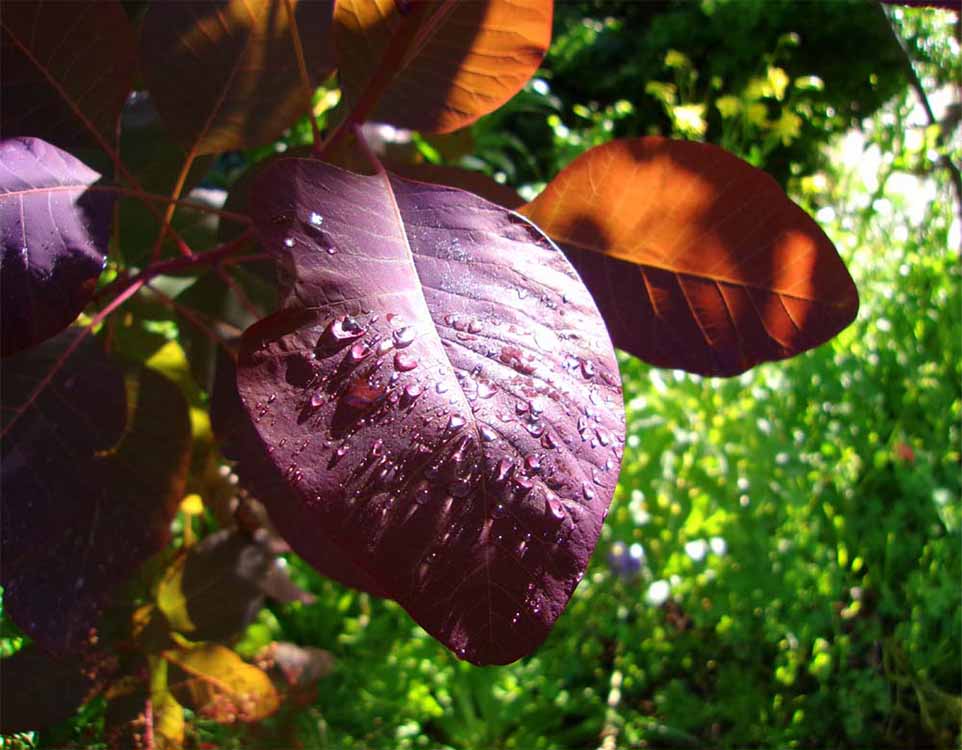 Fotos de Exemplo da câmera Kodak PixPro FZ45.